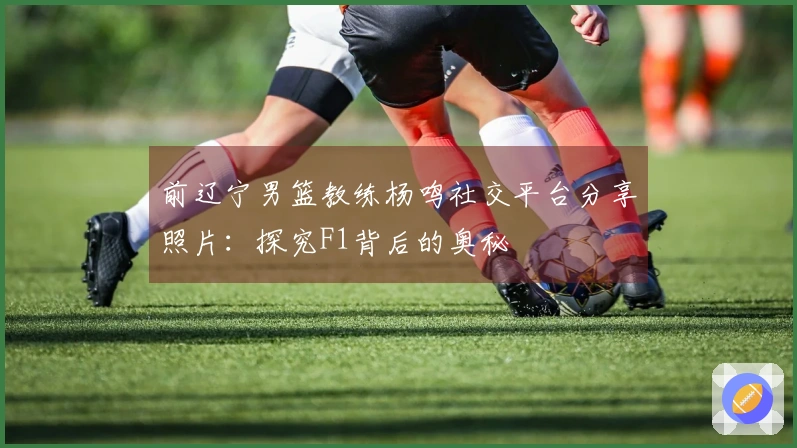 前辽宁男篮教练杨鸣社交平台分享照片：探究F1背后的奥秘