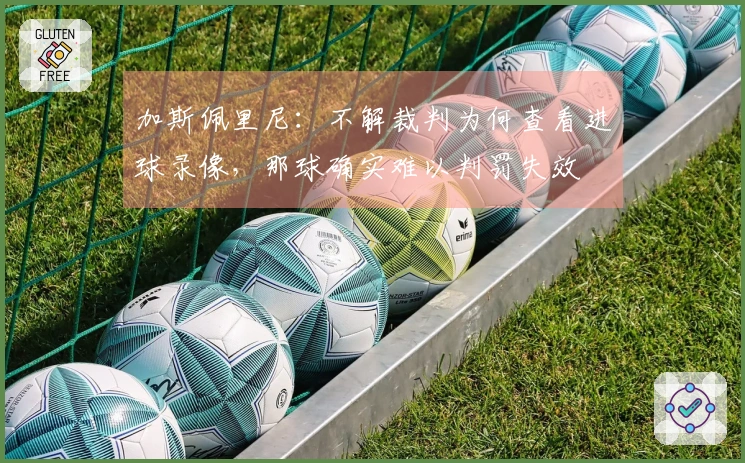 加斯佩里尼：不解裁判为何查看进球录像，那球确实难以判罚失效
